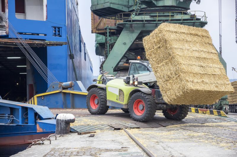Telescopic Lift Truck